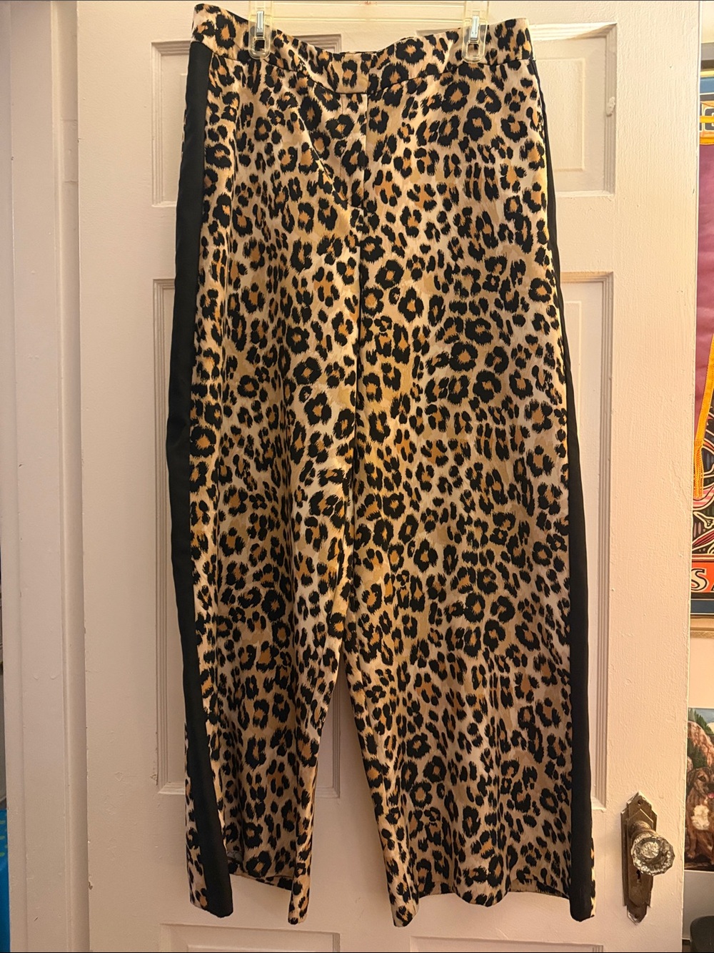 New York and Co Leopard Print Shorts with Black Side Panels